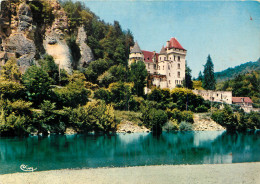 24 LA ROQUE GAGEAC CHÂTEAU DE LA MALARTRIE - Andere & Zonder Classificatie