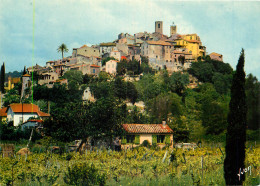 06 BIOT  - Biot