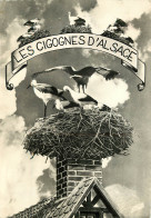 67 LES CIGOGNES D'ALSACE - Autres & Non Classés