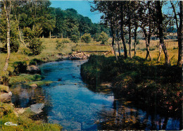 19 LES BORDS DE LA VEZERE - Autres & Non Classés