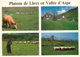 65 PLATEAU DE LHERS EN VALLEE D'ASPE MULTIVUES - Autres & Non Classés