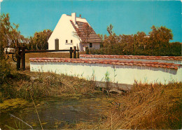 13 EN CAMARGUE CABANE DE GARDIANS - Autres & Non Classés