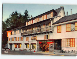 SAINT JACQUES DES BLATS : Hôtel Du Chalet Fleuri - Très Bon état - Sonstige & Ohne Zuordnung