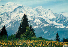 74 MASSIF DU MONT BLANC - Andere & Zonder Classificatie