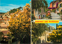 83 BORMES LES MIMOSAS MULTIVUES  - Bormes-les-Mimosas