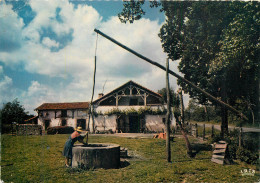 40 AU PAYS LANDAIS VIEUX PUITS DE GASCOGNE - Sonstige & Ohne Zuordnung