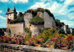 37 CHÂTEAU DE CHINON - Chinon