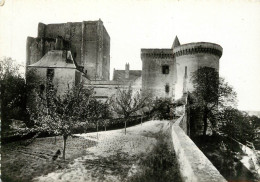 37 LOCHES LE DONJON - Loches