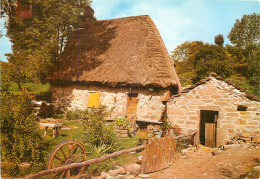 63 AUVERGNE MAISONNETTE AU TOIT DE CHAUME - Andere & Zonder Classificatie