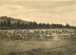 63 EN AUVERGNE LE PARC - Sonstige & Ohne Zuordnung