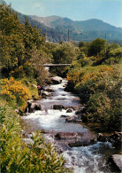 63 L'AUVERGNE - Sonstige & Ohne Zuordnung