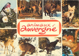 63 ANIMAUX D'AUVERGNE - Andere & Zonder Classificatie