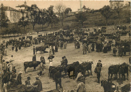 63 AUVERGNE MARCHE AUX BESTIAUX - Autres & Non Classés