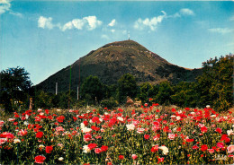 63 LE PUY DE DOME  - Other & Unclassified