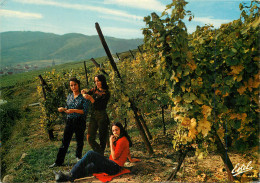 68 VENDANGES EN ALSACE - Autres & Non Classés