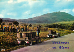 68 VENDANGES EN ALSACE - Autres & Non Classés