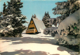 CHALET DANS LES SAPINS - Other & Unclassified