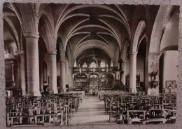 CPA - BRAINE-LE-COMTE - L'intérieur De L'Eglise Saint-Géry - Vierge - Glacée - Dentelée - Braine-le-Comte