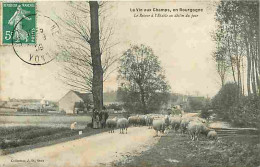 21 - Cote D'Or - La Vie Aux Champs En Bourgogne - Animée - Moutons - CPA - Voir Scans Recto-Verso - Sonstige & Ohne Zuordnung