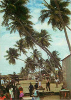 Martinique - Le Vauclin - Le Vauclin Et Les Vieux Cocotiers - CPM - Voir Scans Recto-Verso - Andere & Zonder Classificatie