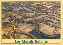 Metiers - Marais Salants - Saliculture - Saliculteurs - Sauniers - Paludiers - Cote D'Amour - Les Marais Salants - Vue A - Altri & Non Classificati