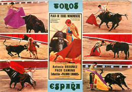 Corrida - Toros - Espagne - España - Multivues - CPM - Voir Scans Recto-Verso - Corridas