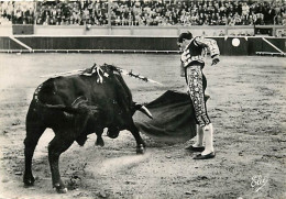 Corrida - Une Belle Passe Basse De Ordonez - CPM - Voir Scans Recto-Verso - Stierkampf