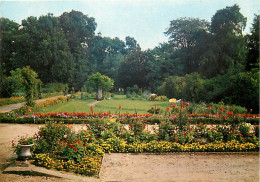 77 - Fontainebleau - Maison De Repos Et De Convalescence Saint-Joseph - Un Coin Du Parc - Fleurs - Carte Neuve - CPM - V - Fontainebleau