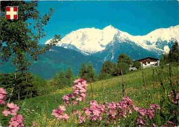 74 - Chamonix - Mont-Blanc - Le Bettex - Le Mont-Blanc - CPM - Voir Scans Recto-Verso - Chamonix-Mont-Blanc