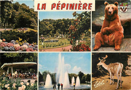 54 - Nancy - Parc De La Pépinière - Multivues - Fleurs - Ours - Daims - Jets D'eau - Carte Neuve - CPM - Voir Scans Rect - Nancy