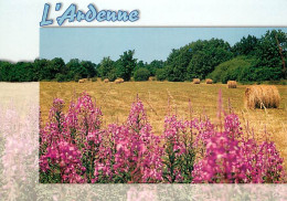 Belgique - L'Ardenne - Ardenne Pittoresque - Fleurs - Paille - Carte Neuve - CPM - Voir Scans Recto-Verso - Sonstige & Ohne Zuordnung