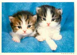 Animaux - Chats - Chatons - Carte Neuve - CPM - Voir Scans Recto-Verso - Gatos