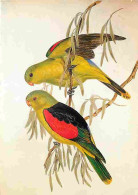 Animaux - Oiseaux - Péruches - CPM - Voir Scans Recto-Verso - Birds