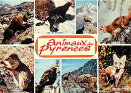 Animaux - Animaux Des Pyrénées - Ours - Coq De Bruyère - Isard - Ecureuil - Marmotte - Aigle - Renard - Multivues - CPM  - Otros & Sin Clasificación