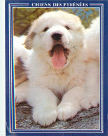 Chiens - CPM - Voir Scans Recto-Verso - Perros