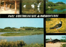 80 MARQUENTERRE PARC ORNITHOLOGIQUE - Altri & Non Classificati