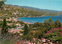 83 LE LAVANDOU SAINT CLAIR - Le Lavandou