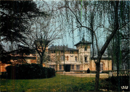 82 NEGREPELISSE CHÂTEAU DE LONGUES AYGUES - Negrepelisse