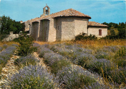 84 PLATEAU DES ABEILLES CHAPELLE SUR LA ROUTE DE SAULT - Andere & Zonder Classificatie