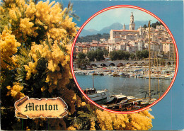 06 MENTON MIMOSAS - Menton