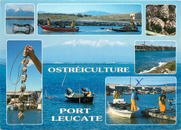 11 PORT LEUCATE MULTIVUES OSTREICULTURE - Other & Unclassified