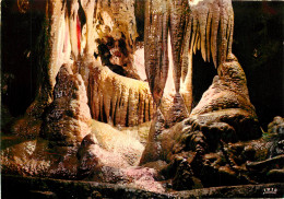 06 GROTTES DE SAINT CEZAIRE  - Other & Unclassified