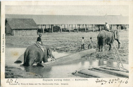 Burma Elephants Working Timber Ed Watts And Skeen 1906 - Myanmar (Burma)