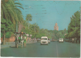 LD61 :Maroc : MARRAKECH : Av Mohammed 5 , Voiture  Renault 4 Aile - Marrakesh