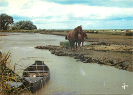 LA GRANDE BRIERE CHEVAUX  - Andere & Zonder Classificatie