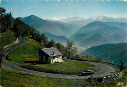 65 LE COL D'ASPIN FER A CHEVAL  - Other & Unclassified
