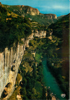 48 LES GORGES DE LA JONTE - Sonstige & Ohne Zuordnung