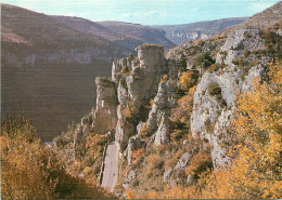 48 LES GORGES DE LA JONTE - Altri & Non Classificati