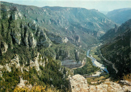 48 GORGES DU TARN POINT SUBLIME - Gorges Du Tarn