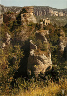 CAUSSE NOIR ERMITAGE SAINT MICHEL - Gorges Du Tarn